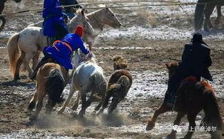 国产驯马视频,揭秘传统技艺与现代演绎的完美融合