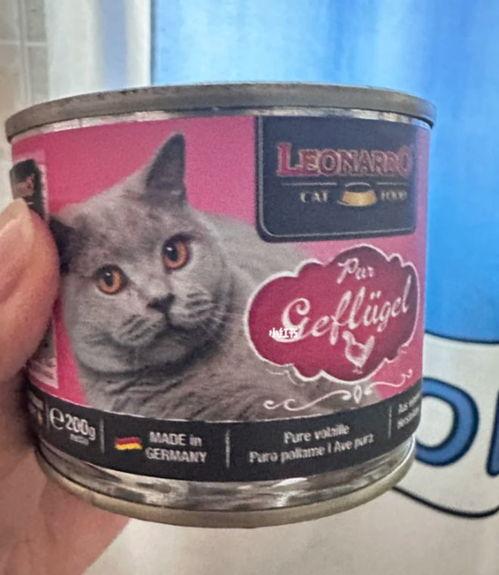 国产猫罐头翻车视频播放,揭秘宠物食品行业潜规则