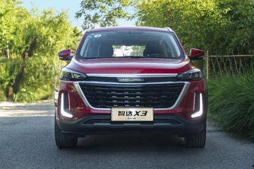 国产狮子王车视频大全