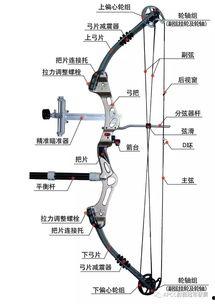 国产复合弓试射视频教学,新手入门教程与技巧解析